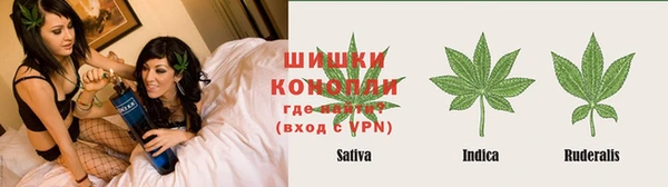 a pvp Белокуриха